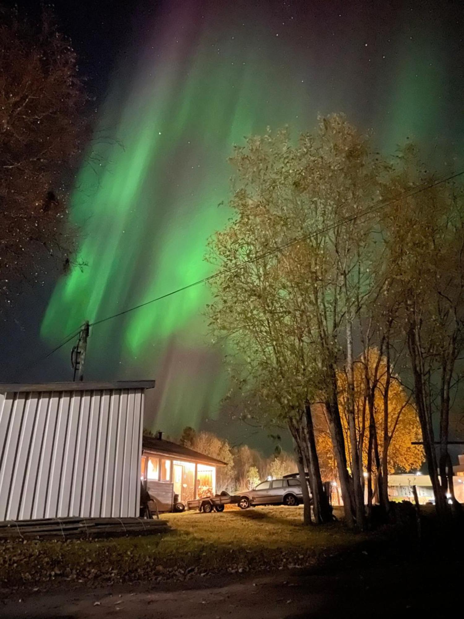 Sentral Og Romslig Leilighet Naert Senja フィンスネス エクステリア 写真