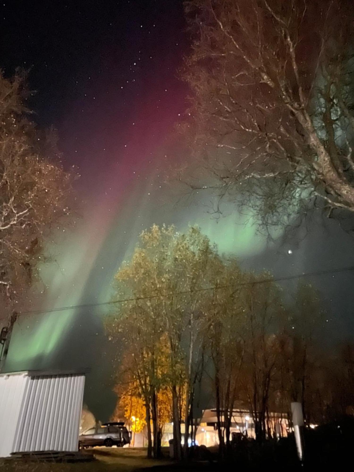 Sentral Og Romslig Leilighet Naert Senja フィンスネス エクステリア 写真